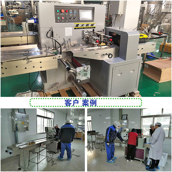 全自動(dòng)蔬菜加工生產(chǎn)機(jī)械
